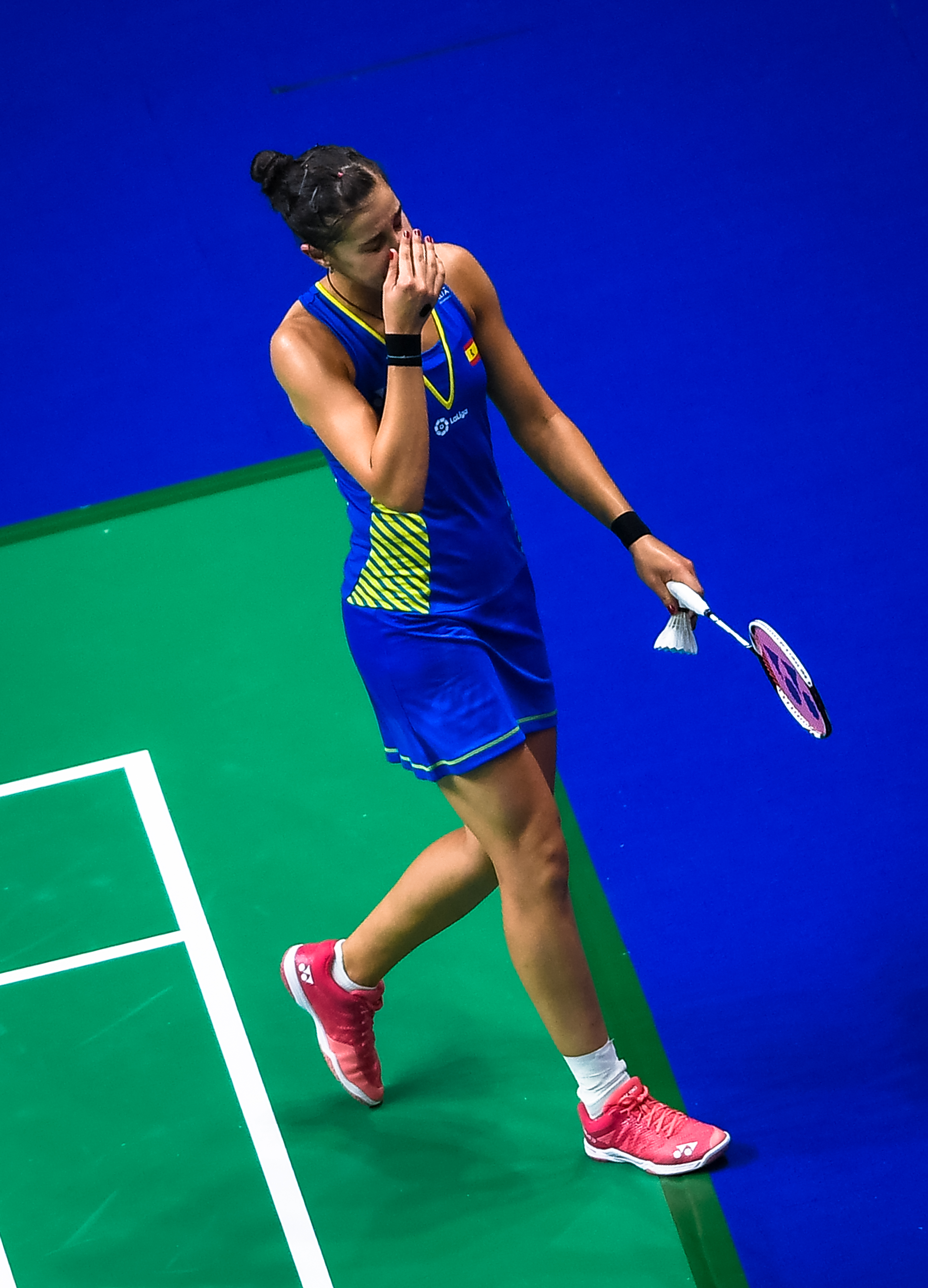 丹麦羽毛球队强势马来西亚羽毛球队，马琳惊艳世界的简单介绍