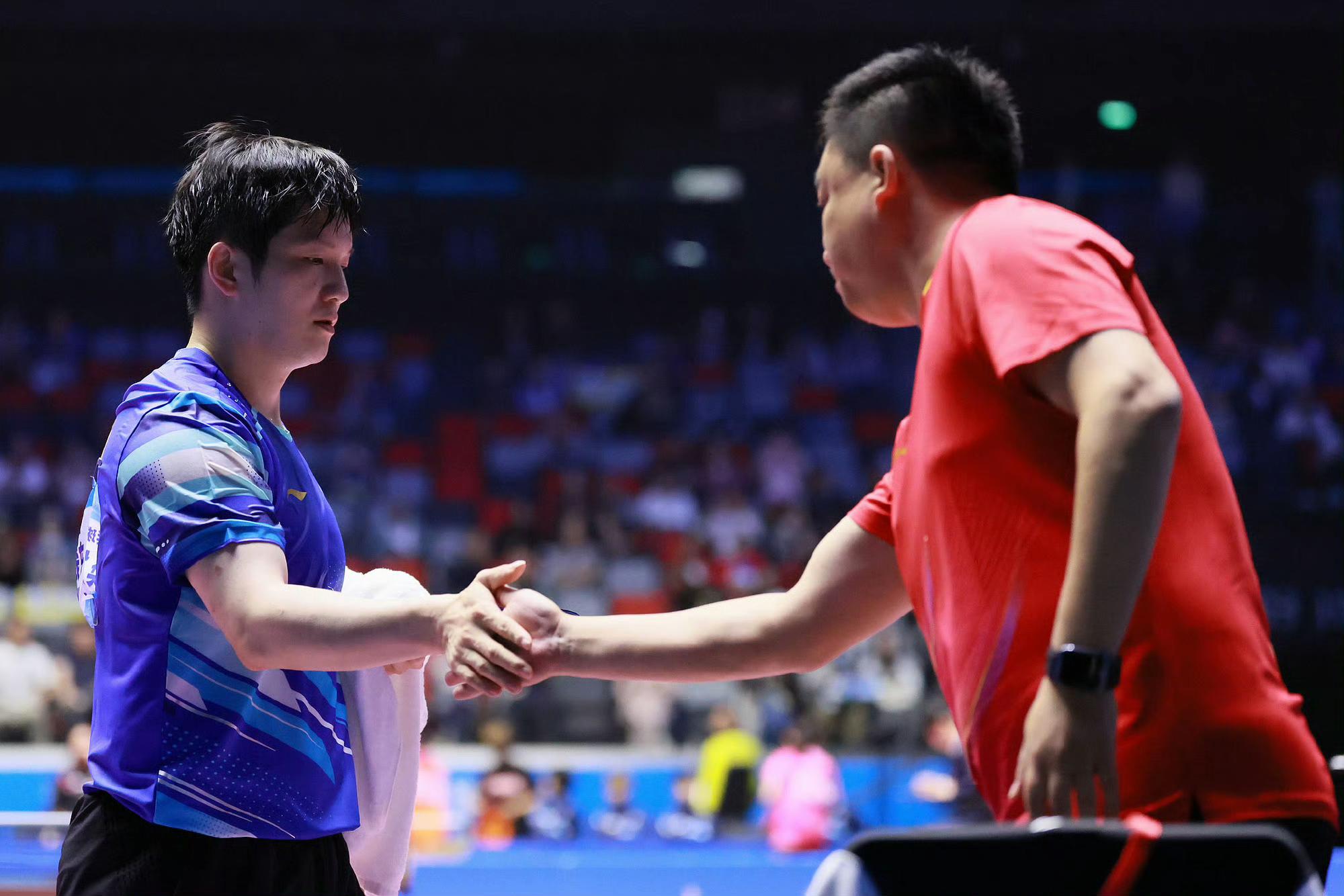 关于波兰队横扫韩国队,樊振东点燃赛场的信息 关于波兰队横扫韩国队,樊振东点燃赛场的信息