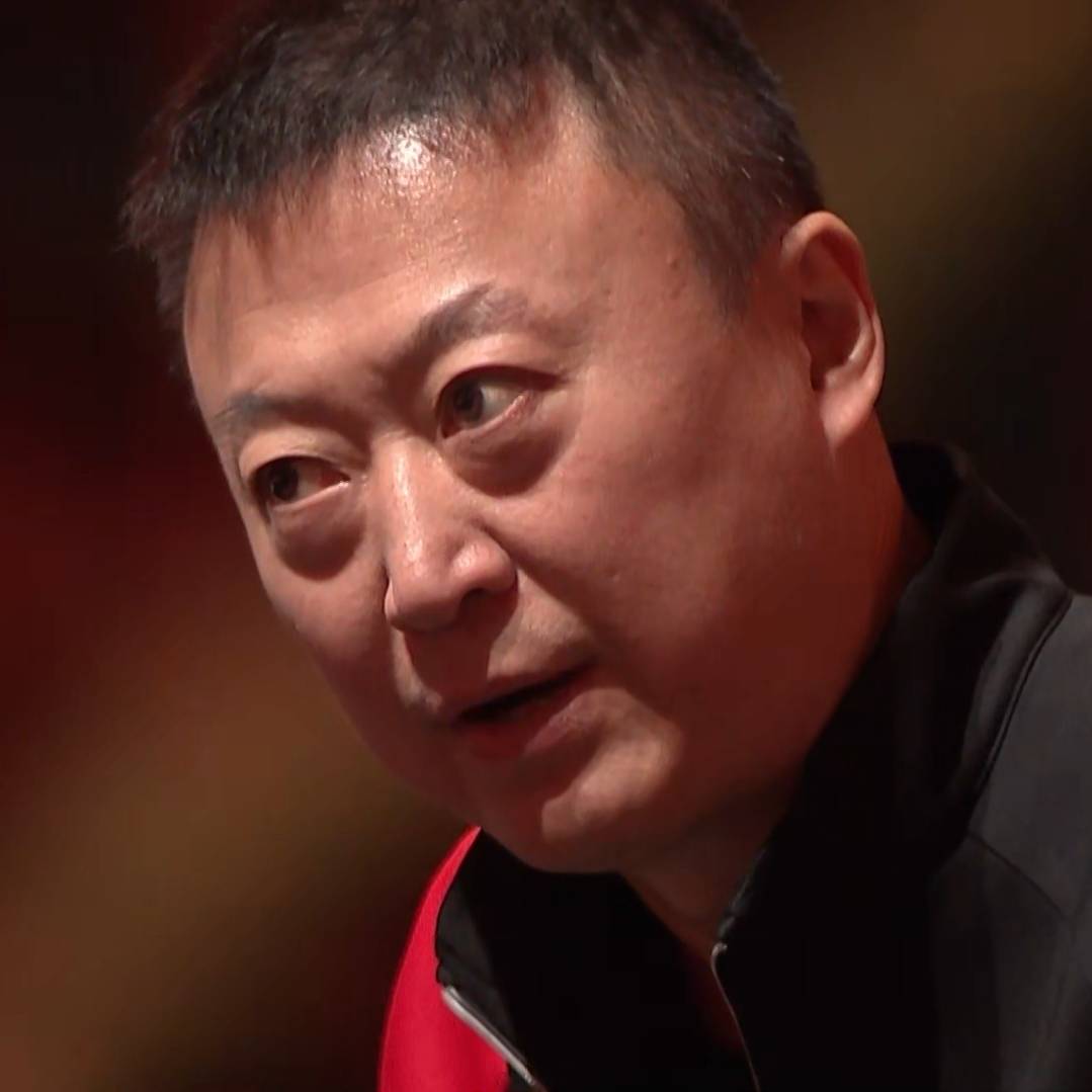 法国队逆转马来西亚队，马琳高光表现的简单介绍