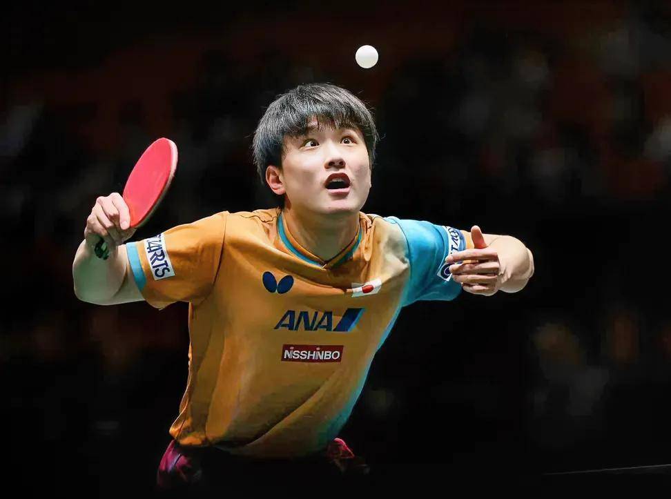 德国队险胜波兰队，张本智和带队取胜的简单介绍