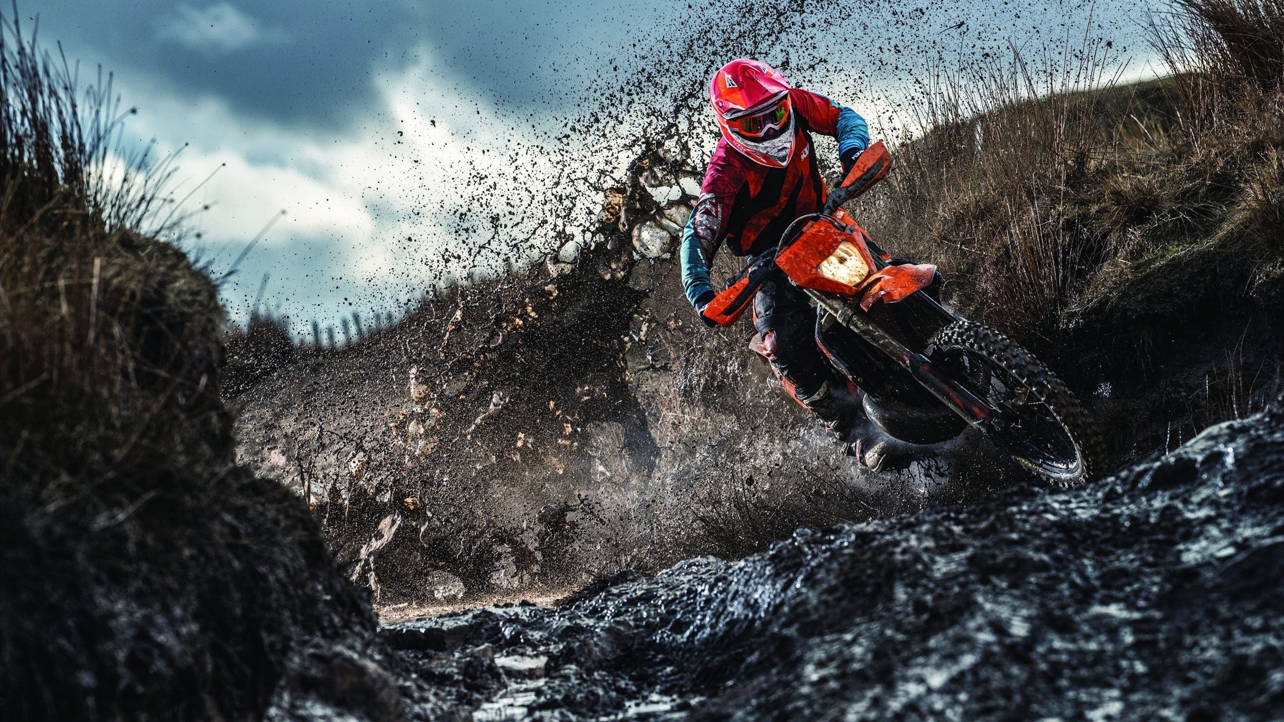 当阳光刺破北岸花园—郭艾伦的绝杀与东方启示